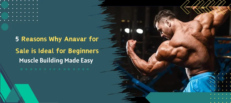 5 Reasons Why Anavar for Sale is Ideal for Beginners Muscle building made easy